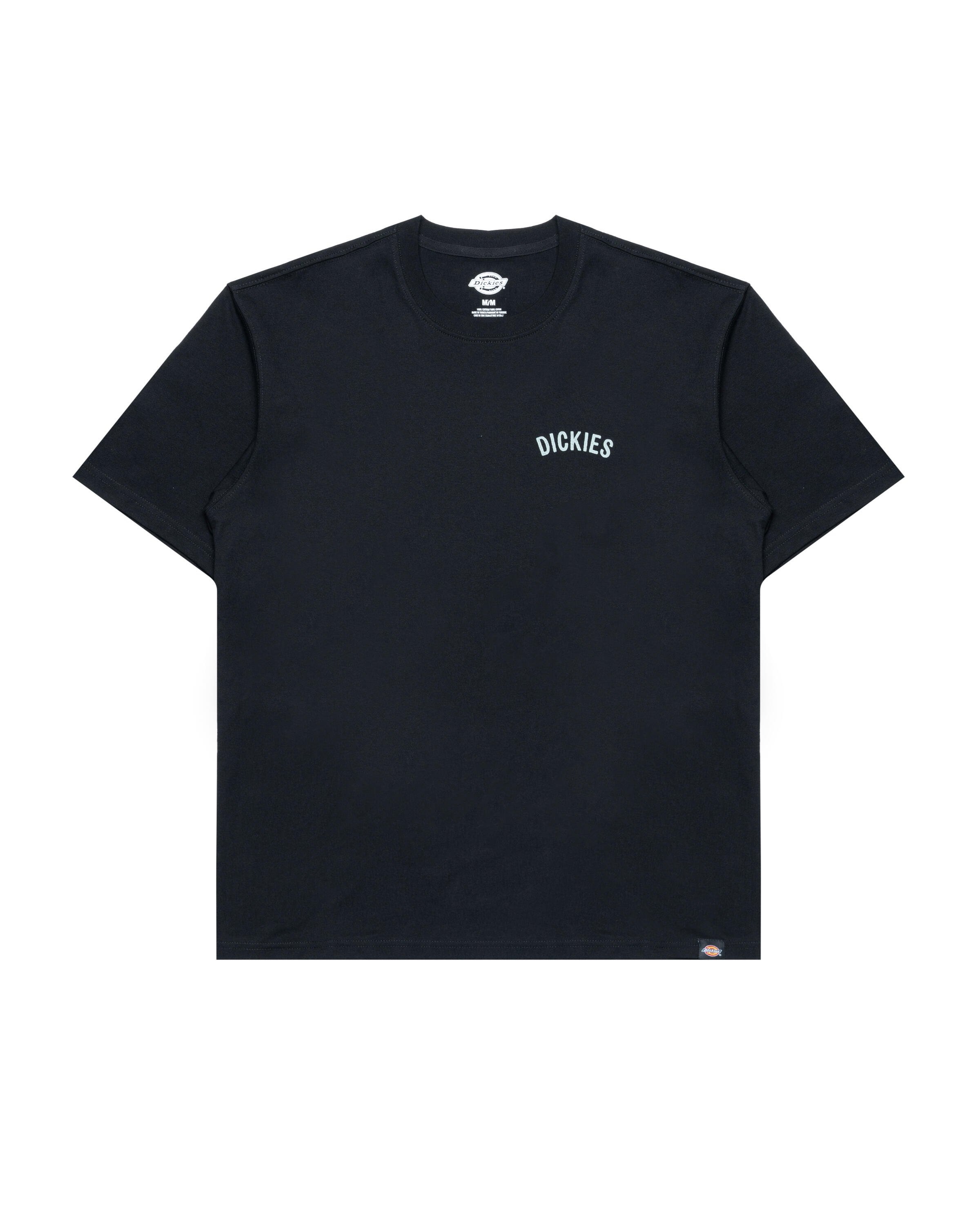 Dickies SNAKE SS TEE | DK0A4Z99BLK1 | AFEW STORE